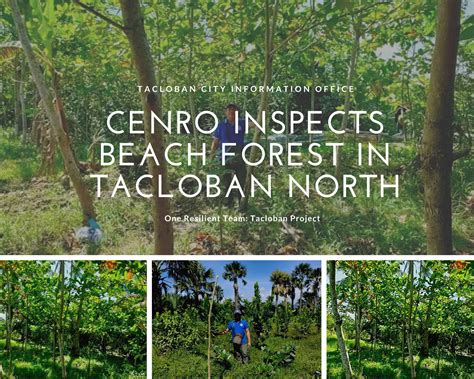 cenro tacloban|The Tacloban City .